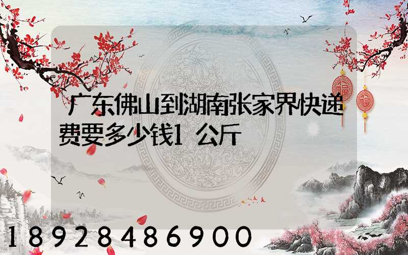 广东佛山到湖南张家界快递费要多少钱1公斤