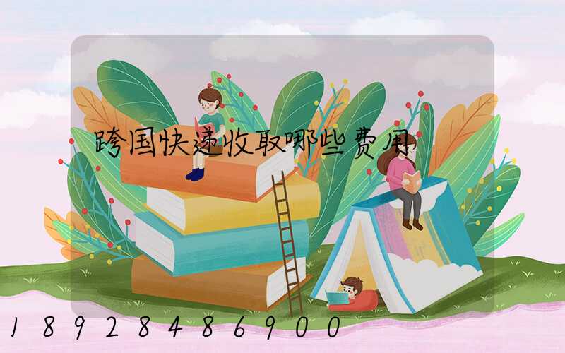 跨国快递收取哪些费用