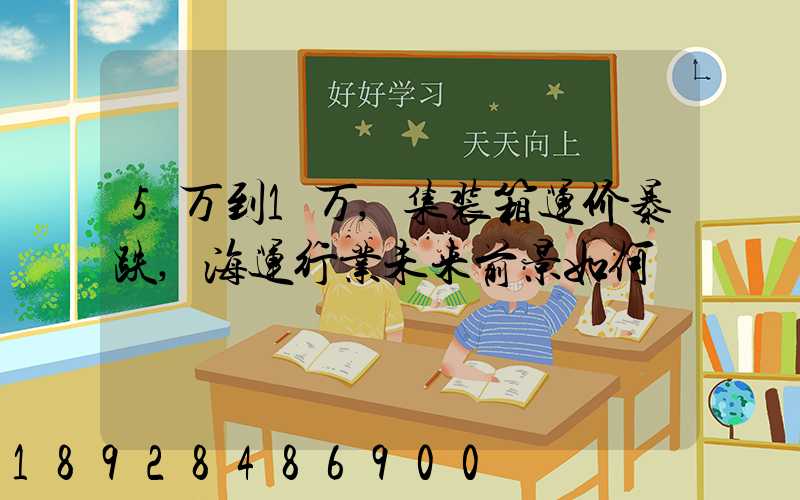 5万到1万,集装箱运价暴跌,海运行业未来前景如何