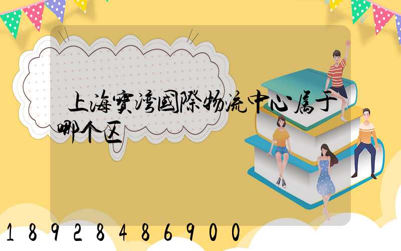 上海宝湾国际物流中心属于哪个区