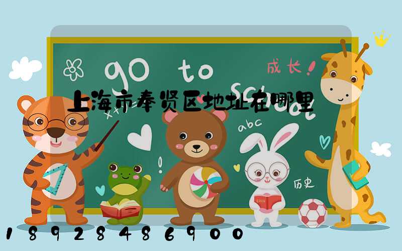 上海市奉贤区地址在哪里