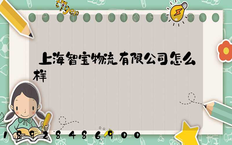 上海智宝物流有限公司怎么样