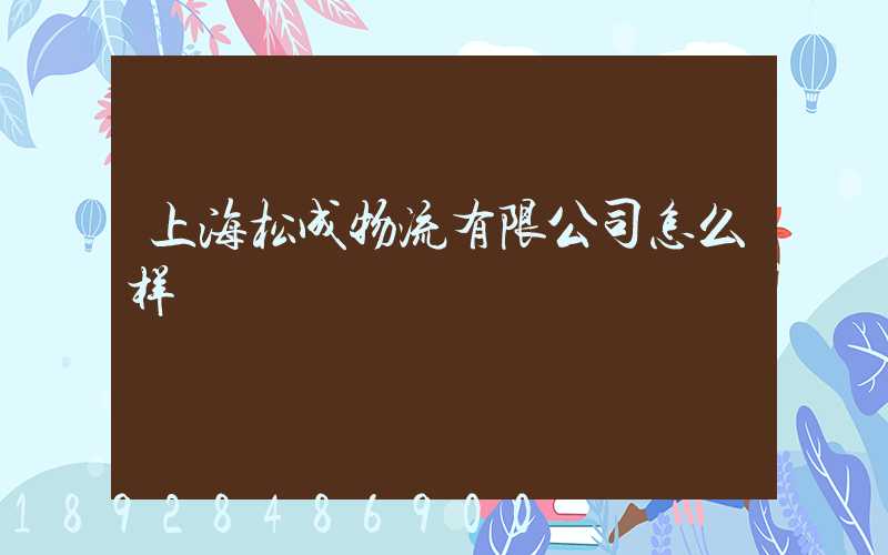 上海松成物流有限公司怎么样