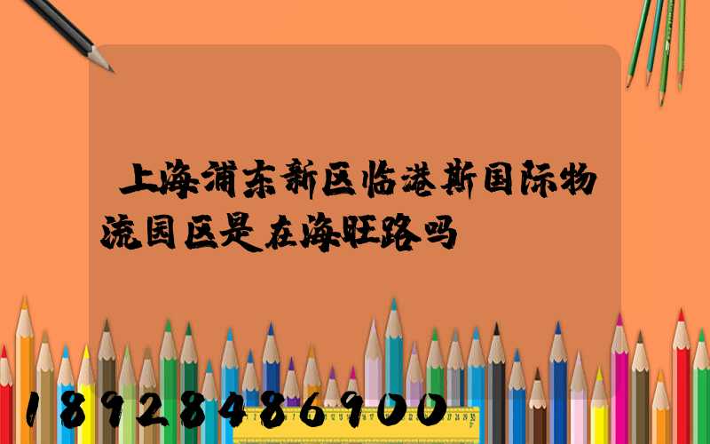 上海浦东新区临港斯国际物流园区是在海旺路吗