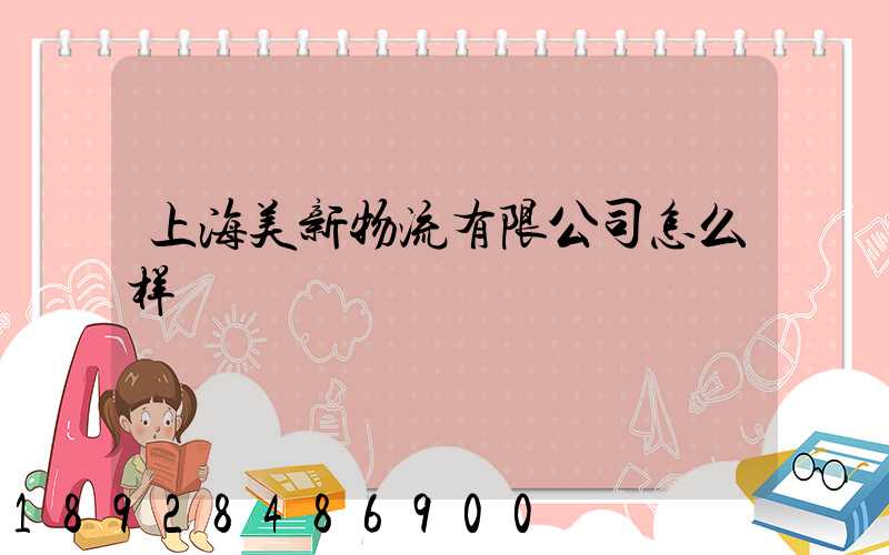 上海美新物流有限公司怎么样