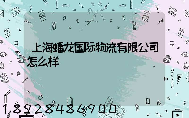 上海蟠龙国际物流有限公司怎么样