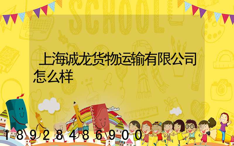 上海诚龙货物运输有限公司怎么样