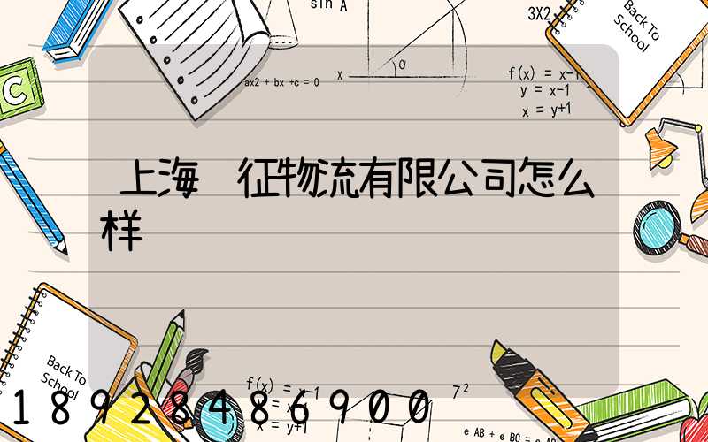 上海远征物流有限公司怎么样