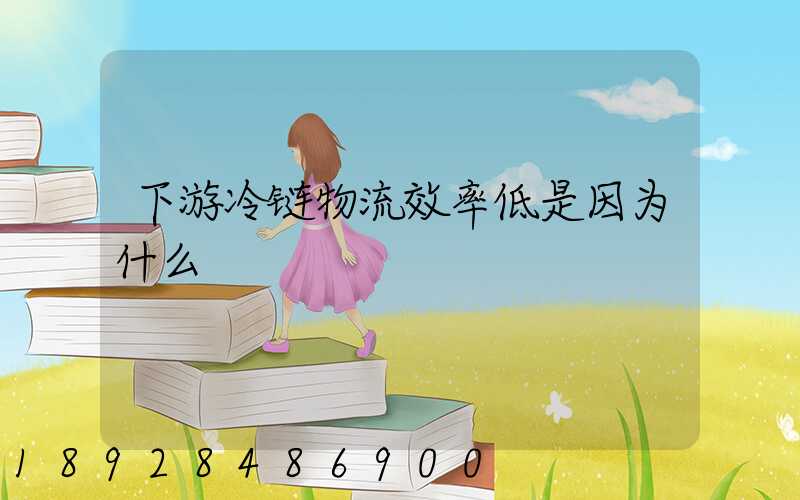 下游冷链物流效率低是因为什么