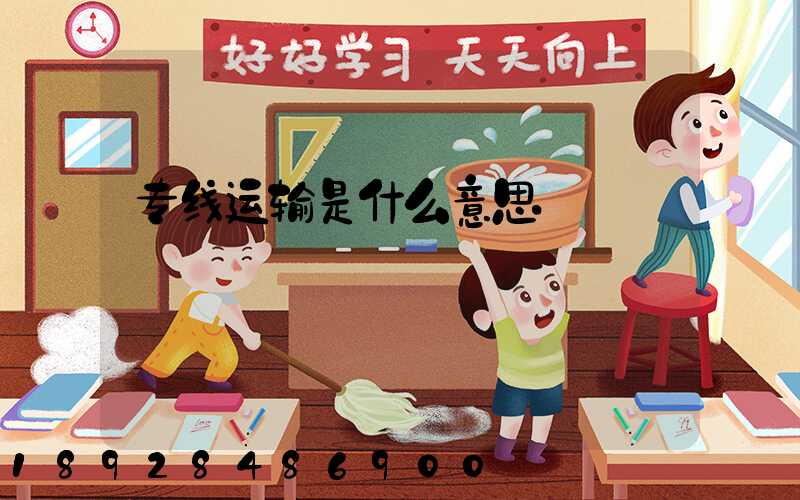 专线运输是什么意思