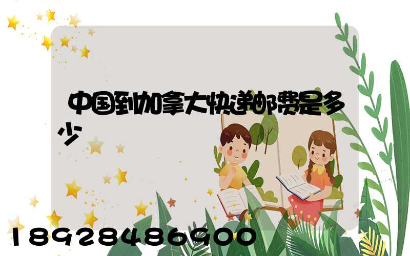 中国到加拿大快递邮费是多少