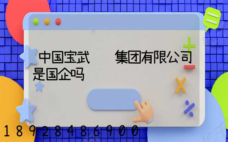 中国宝武钢铁集团有限公司是国企吗