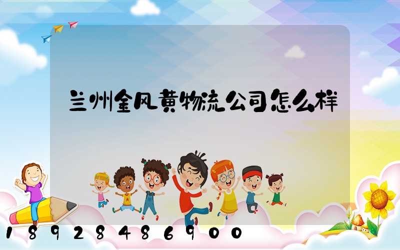 兰州金风黄物流公司怎么样