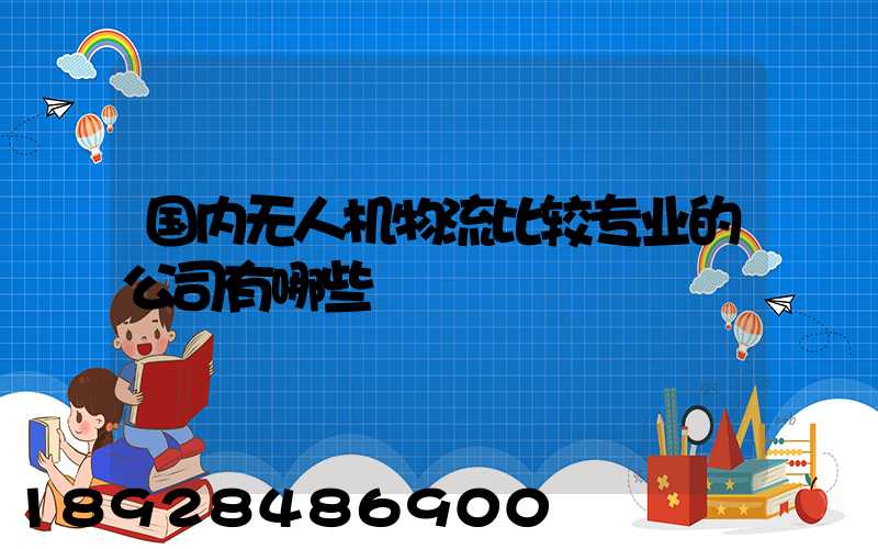 国内无人机物流比较专业的公司有哪些