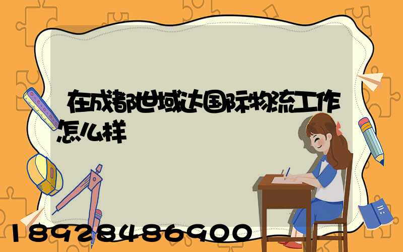 在成都世域达国际物流工作怎么样