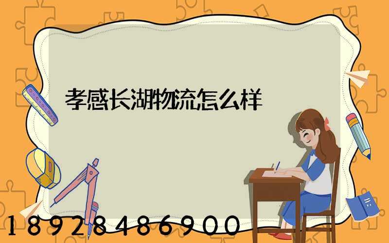 孝感长湖物流怎么样