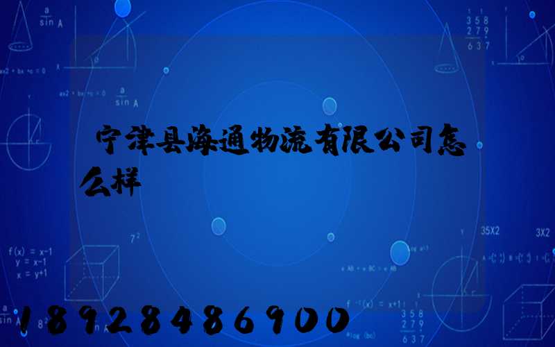 宁津县海通物流有限公司怎么样