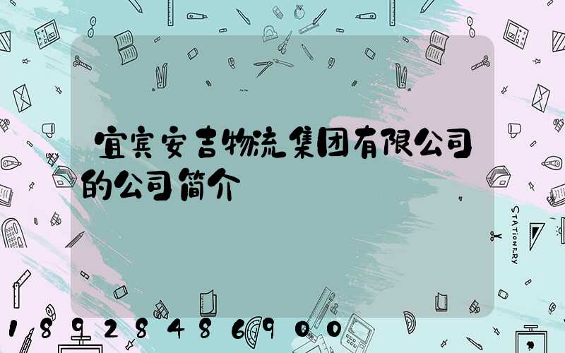 宜宾安吉物流集团有限公司的公司简介