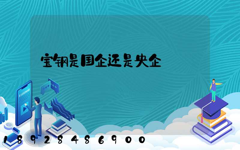 宝钢是国企还是央企