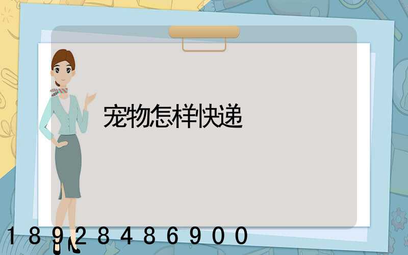 宠物怎样快递