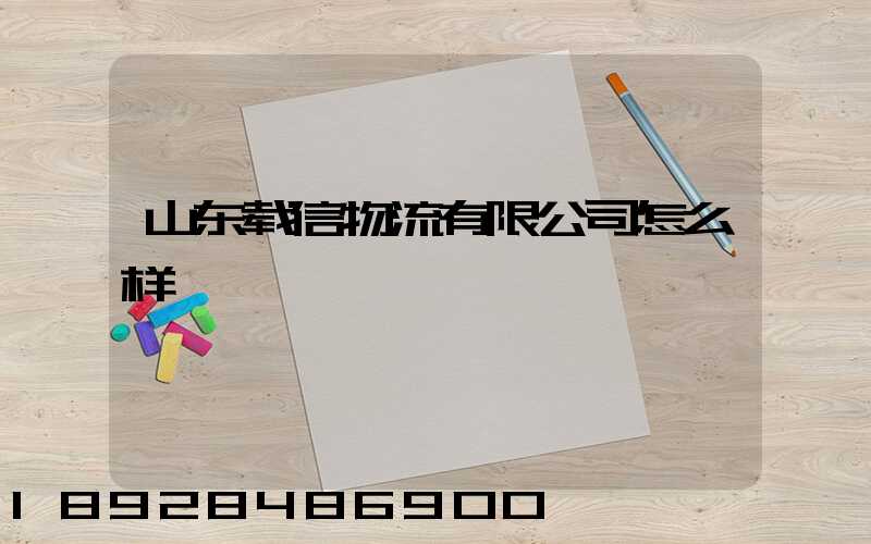 山东载信物流有限公司怎么样