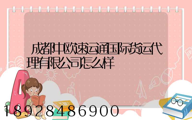 成都中欧速运通国际货运代理有限公司怎么样