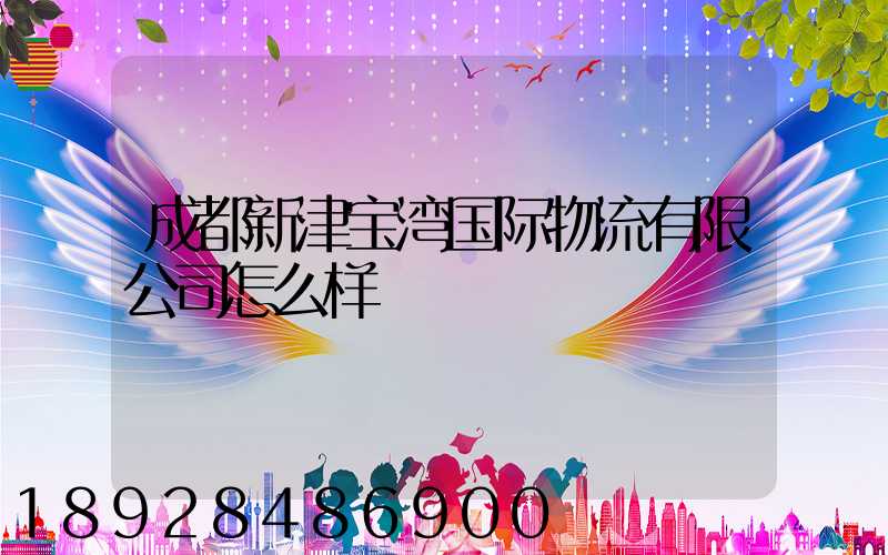 成都新津宝湾国际物流有限公司怎么样