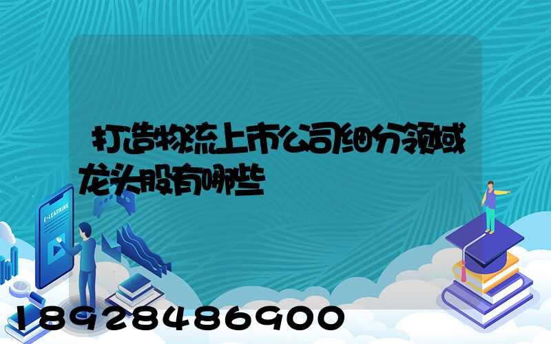 打造物流上市公司细分领域龙头股有哪些