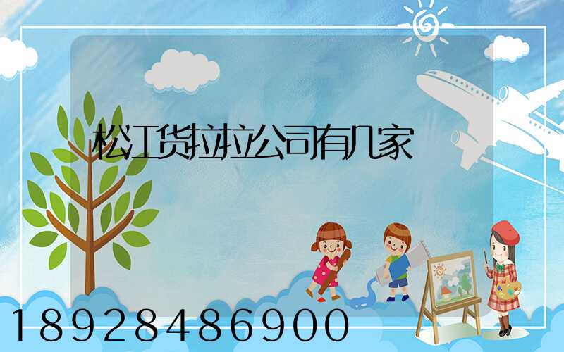 松江货拉拉公司有几家