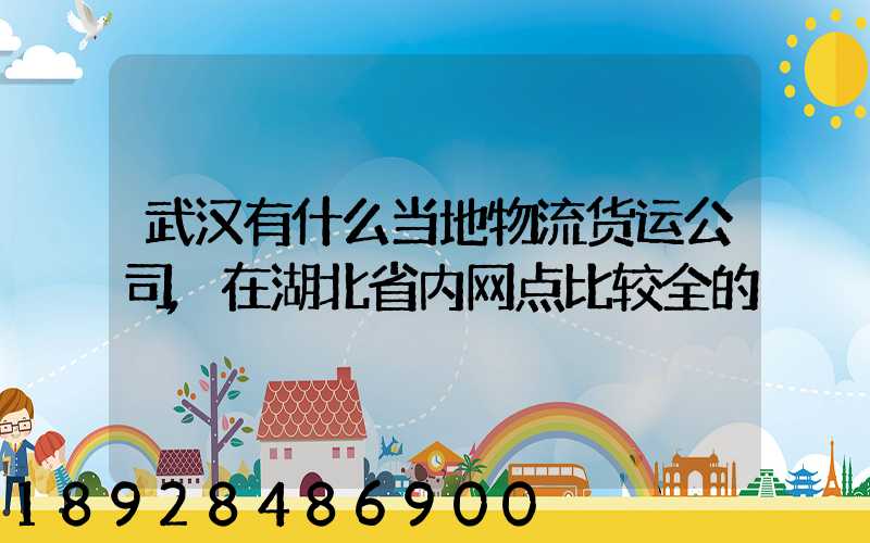 武汉有什么当地物流货运公司,在湖北省内网点比较全的