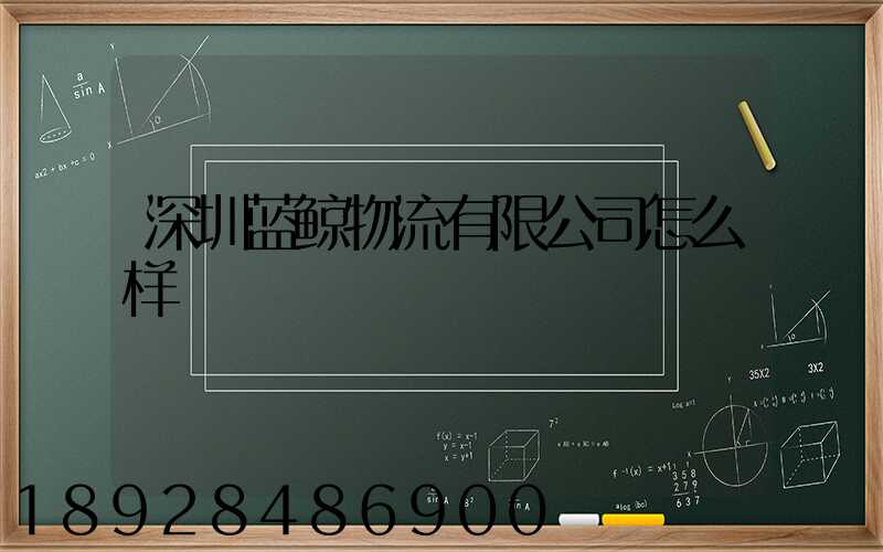 深圳蓝鲸物流有限公司怎么样