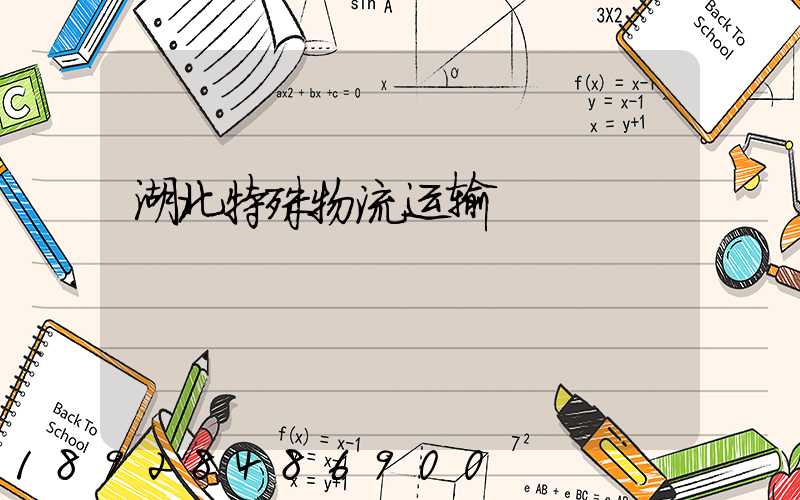 湖北特殊物流运输