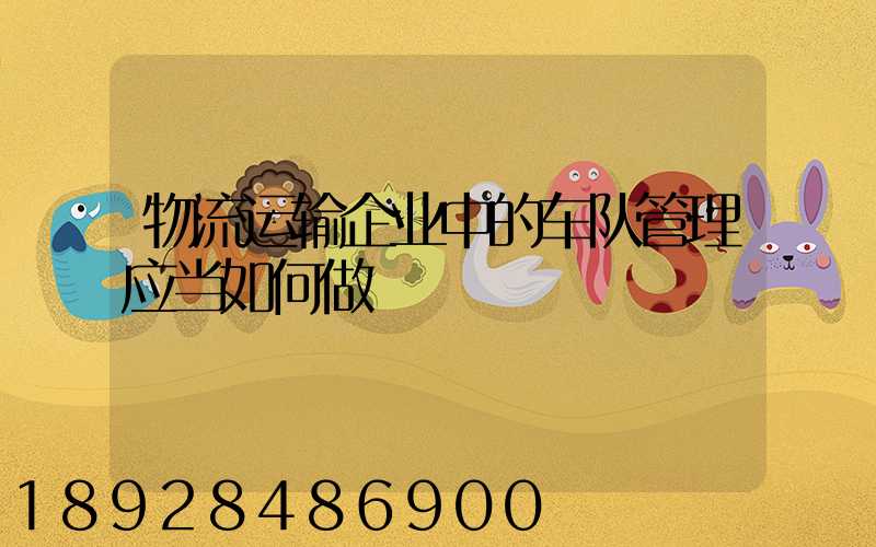 物流运输企业中的车队管理应当如何做