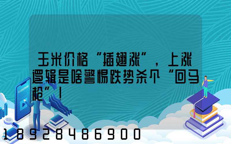玉米价格“插翅涨”,上涨逻辑是啥警惕跌势杀个“回马枪”!