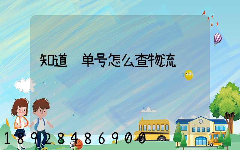 知道运单号怎么查物流