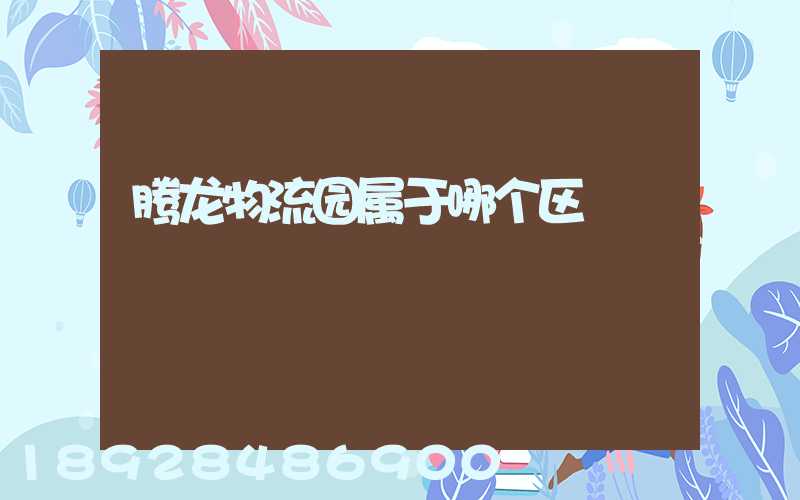 腾龙物流园属于哪个区