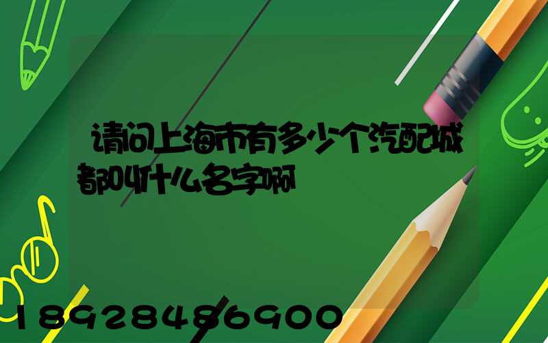 请问上海市有多少个汽配城都叫什么名字啊