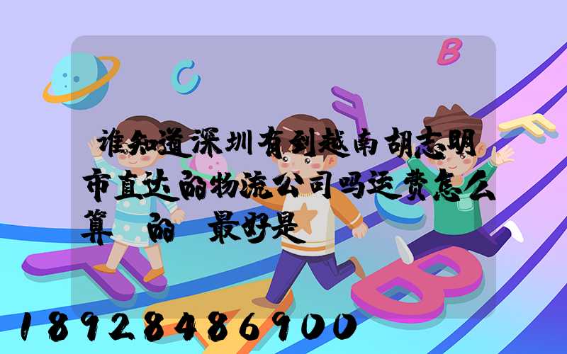 谁知道深圳有到越南胡志明市直达的物流公司吗运费怎么算,的,最好是...