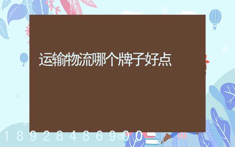 运输物流哪个牌子好点