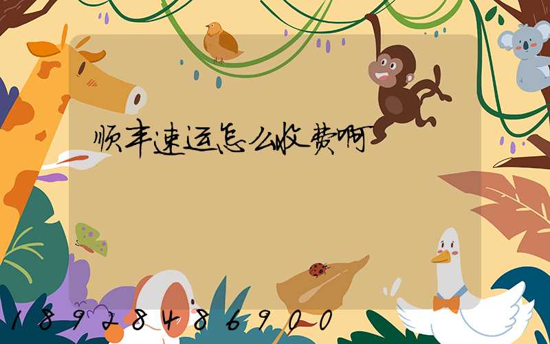 顺丰速运怎么收费啊