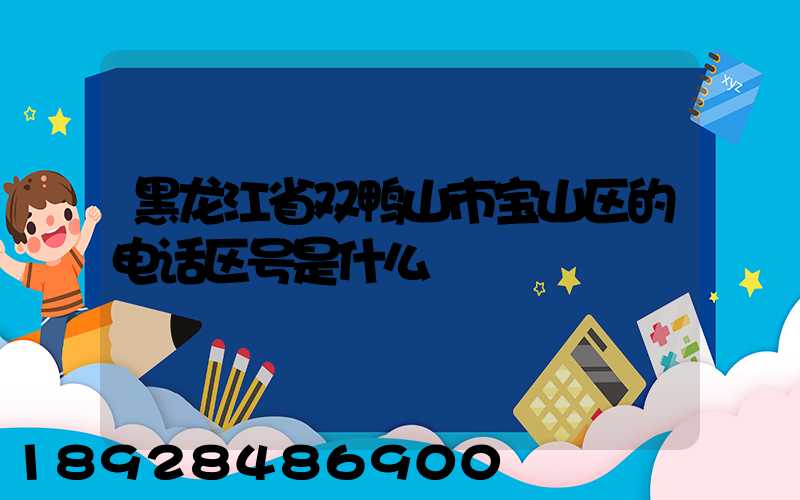 黑龙江省双鸭山市宝山区的电话区号是什么