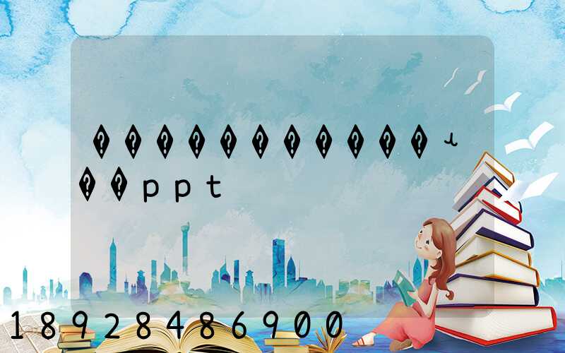 �����������ʵ��ppt