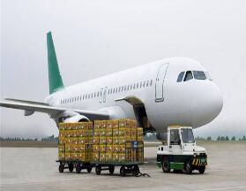 �й�����������ʥ�����з�ҽ�ÿ��ֿ�������