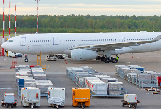 ���ʿ�ݣ���������