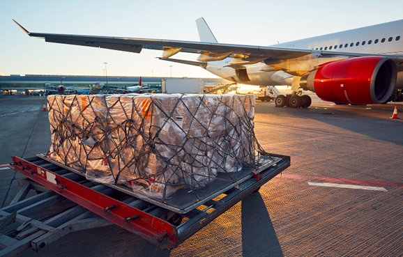 ���ʿ��ˣ�����